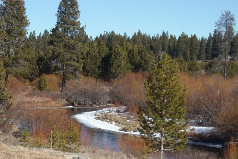 Winter River with No Snow